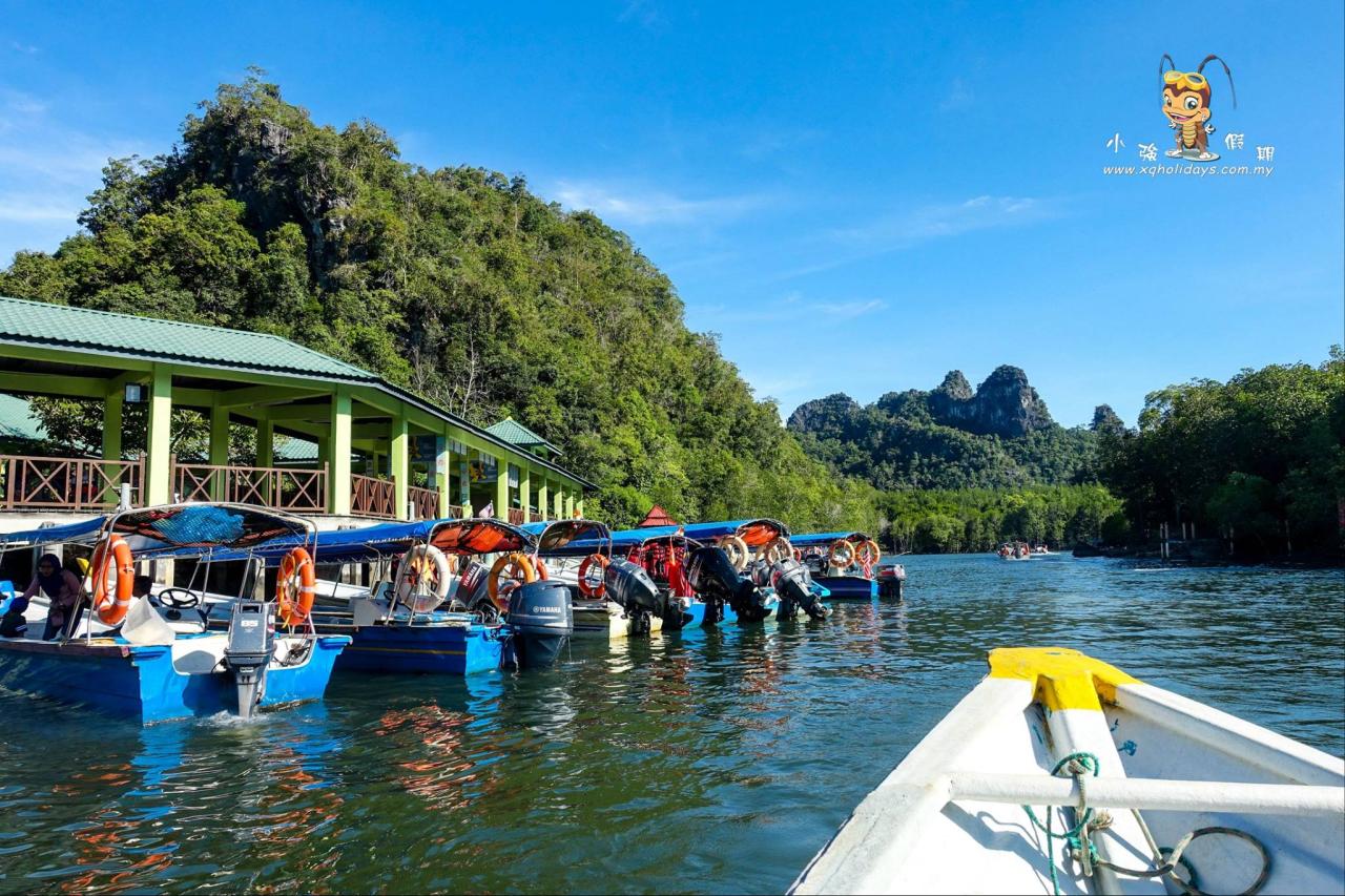 Jelajahi Pesona Mangrove Tour Langkawi: Surga Ekosistem yang Menakjubkan